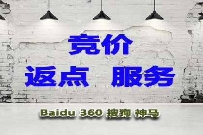 竞价推广策略：某电商平台的成功案例
